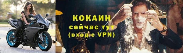 PSILOCYBIN Гусев
