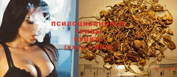 PSILOCYBIN Гусев