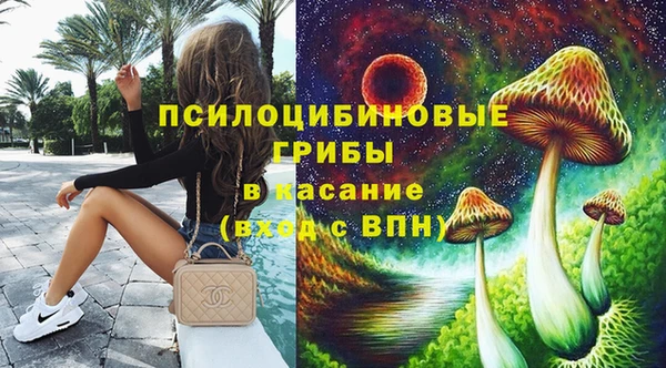 PSILOCYBIN Гусев
