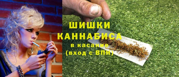 PSILOCYBIN Гусев